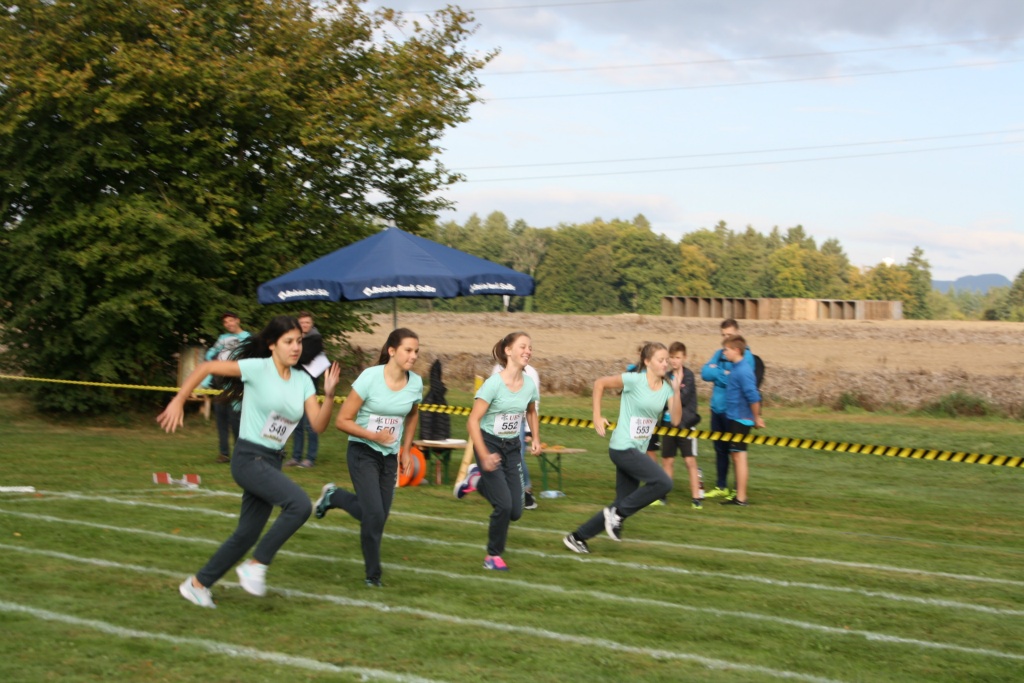 Bild 1 (33)